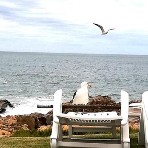 Beacon Island Resort Plettenberg Bay Eksteriør bilde
